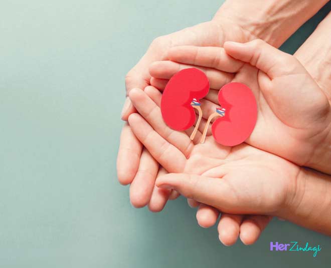 The 7 most important functions of your kidney herzindagi