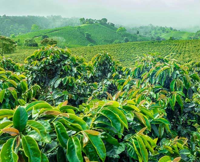 Karnataka facts in hindi