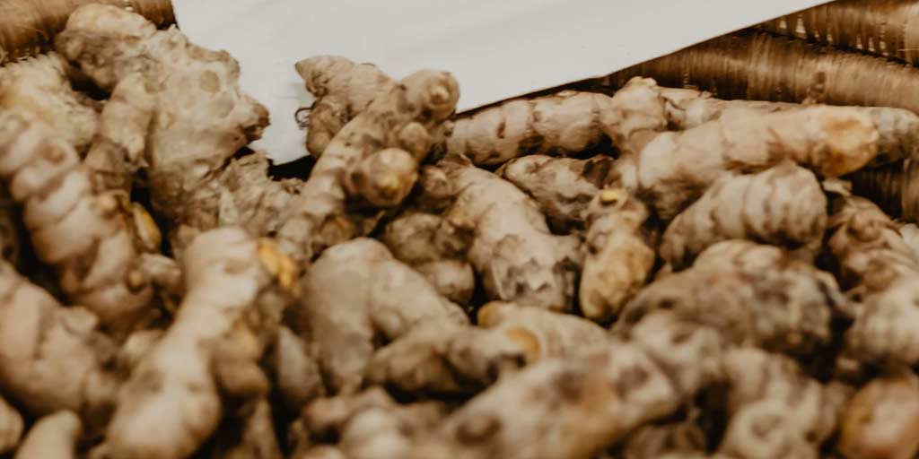 Tikhur Benefits For Good Health क्या आप जानते है तीखुर के इन चमत्कारी