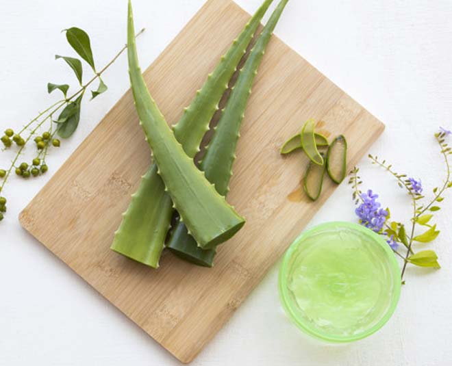aloe vera for summer
