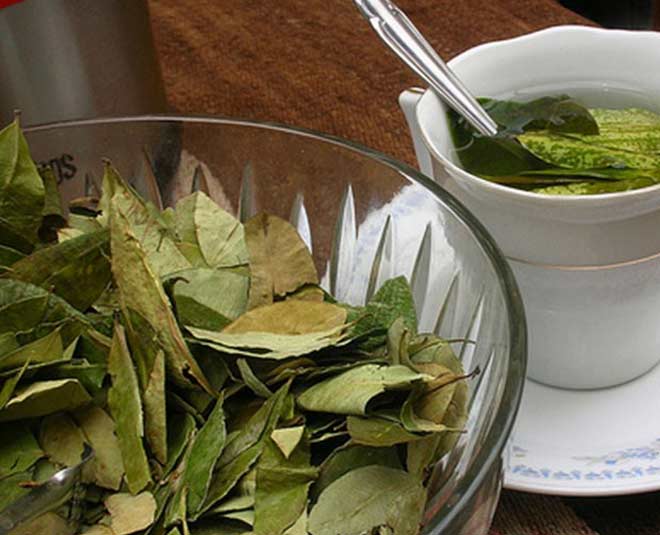 Know Some Amazing Health Benefits Of Drinking Bay Leaves Tea HerZindagi