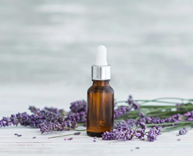 essential oil to prevent cockroaches