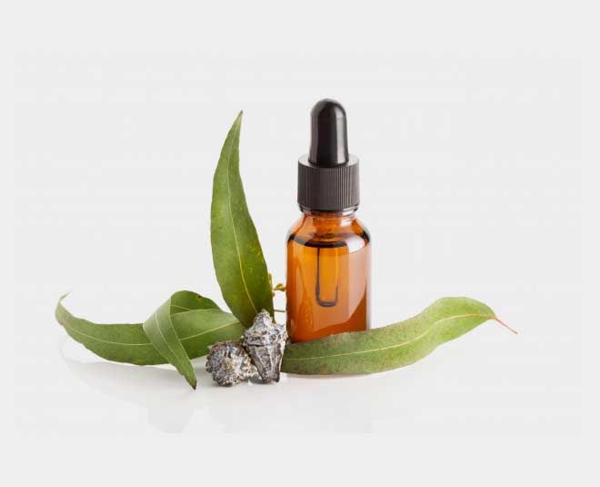 get rid of bed bugs with tea tree oil
www.worldcreativities.com