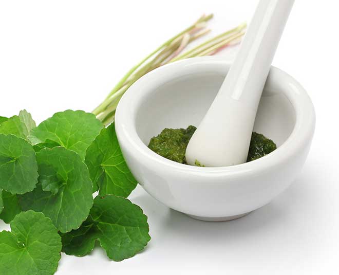 gotu kola health benefits inside 