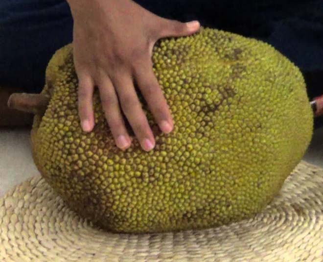 How To Ripen Jackfruit At Home In Hindi