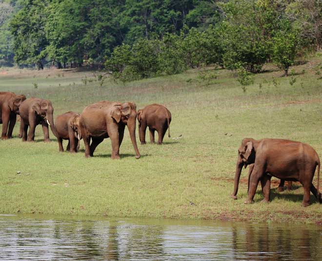 idukki famous places to visit periyar national park inside 