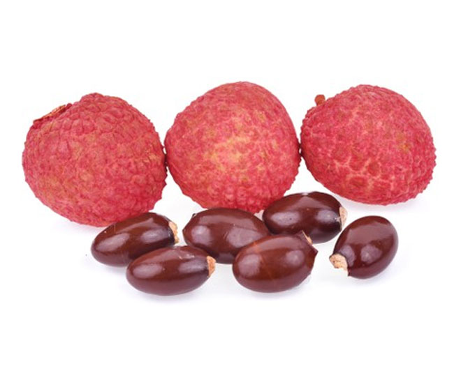 inside lychee seeeds plant
