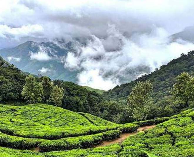 inside munnar