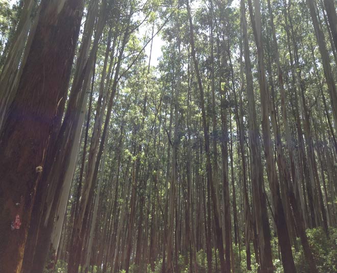 inside  kerala point