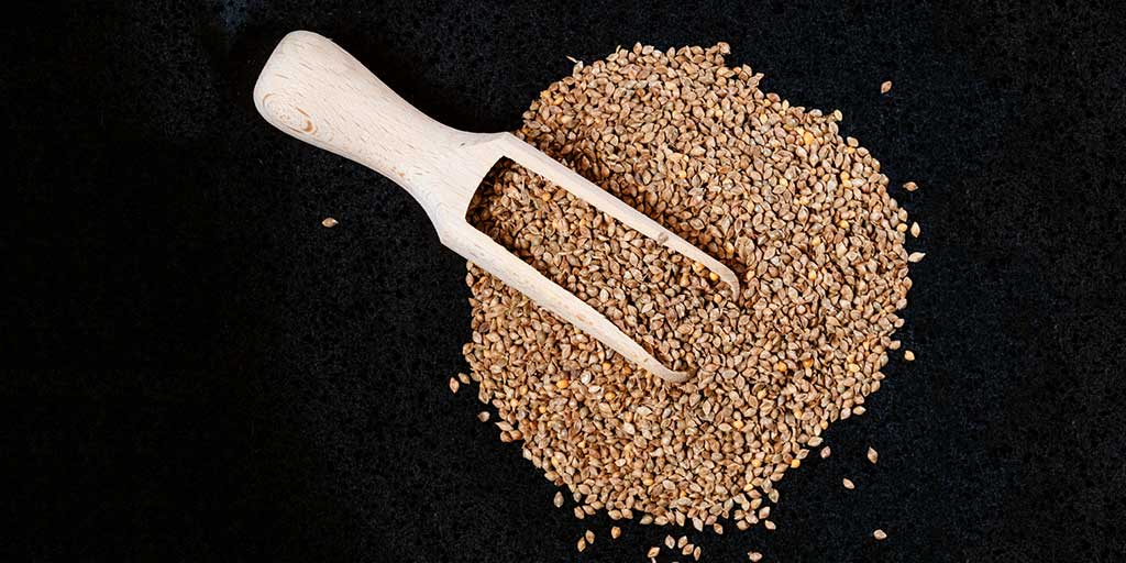 Benefits Of Garhwali Jhangora or Indian Barnyard Millet In Hindiगढ़वाल