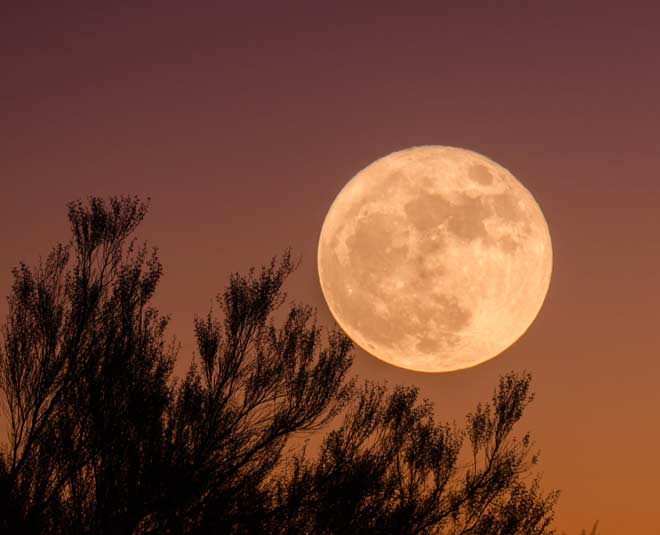 jyesth purnima significance