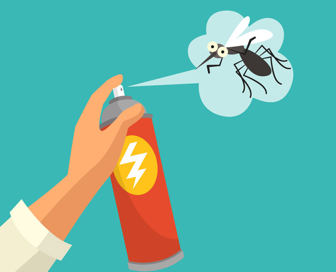 kaner flower insect spray inside