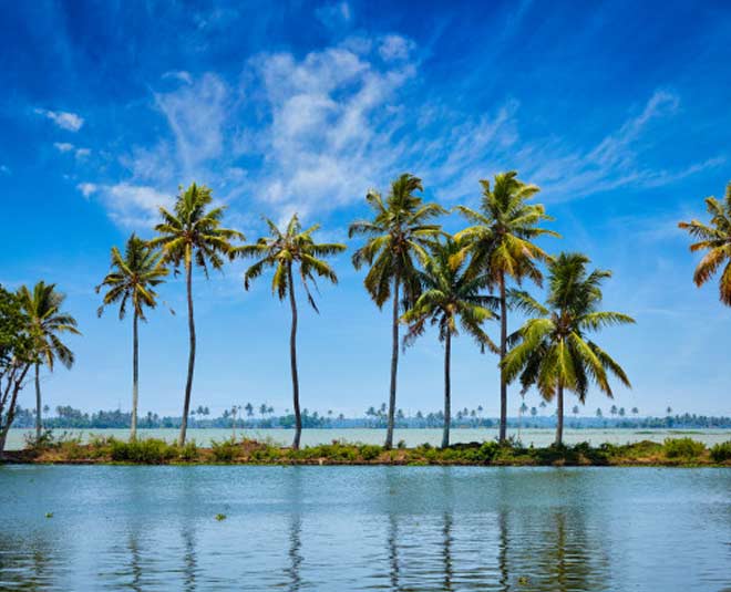 kerala waterbacks alleppey