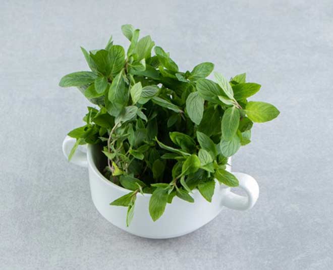 mint face pack for blemishes