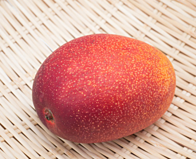miyazaki mango miyazaki mango
