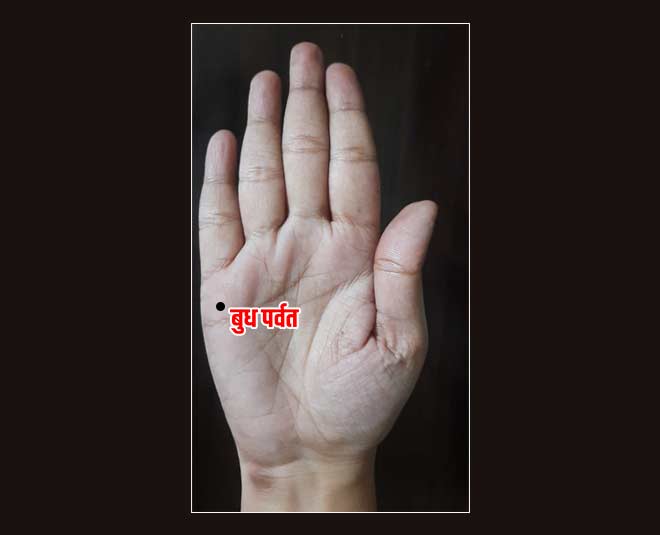 moles  on  palm secret