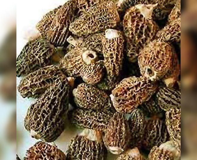 most expensive mushroom in the world 