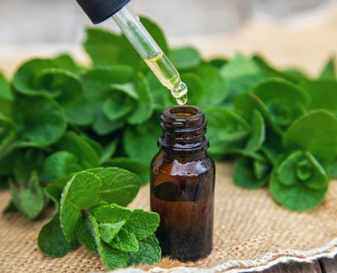 peppermint oil
www.worldcreativities.com