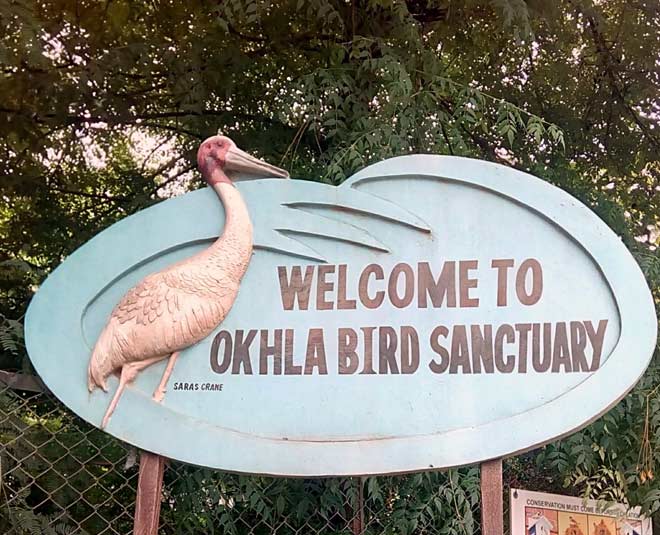 ओखला पक्षी अभयारण्य places to visit in delhi with children inside