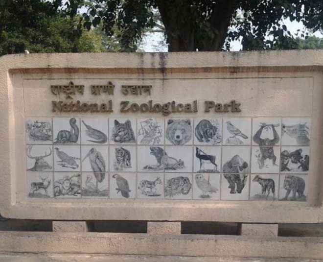 नेशनल जूलॉजिकल पार्क places to visit in delhi with children inside