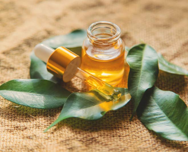 tea tree oil eyelash