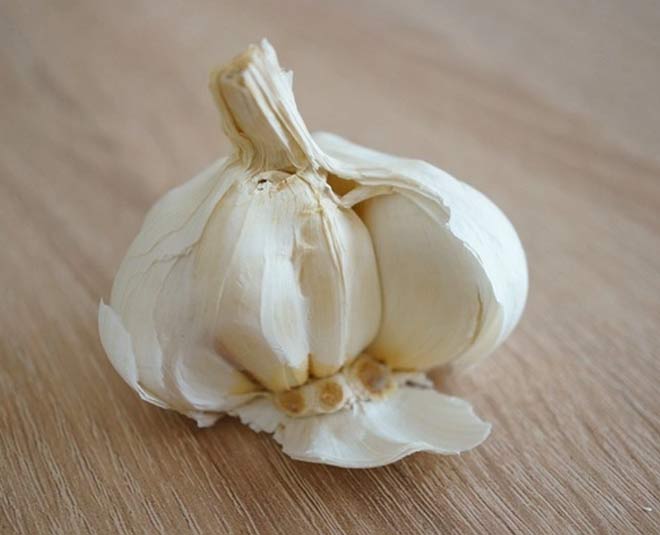 tips to choose good garlic