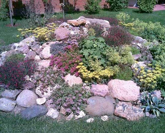 tips to create rock garden inside 