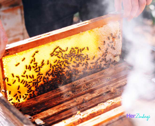 धुएं का प्रयोग करें use smoke for honeybee