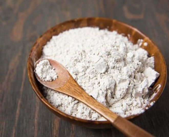 uses of borax powder for bugs inside