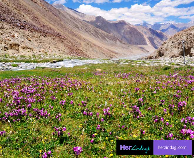फूलों की घाटी, चमोली valley of flowers
