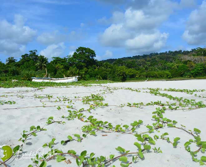 vegetable bowl of andaman