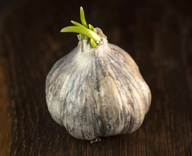 ways to store garlic