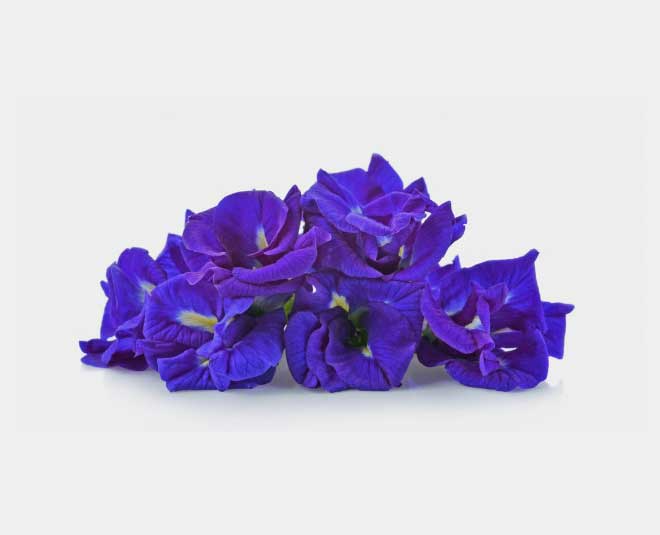 what is butterfly flower