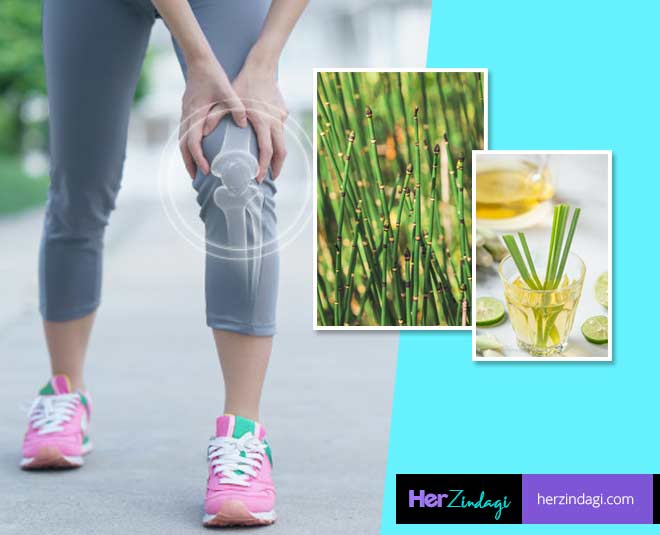 here-are-5-herbs-that-will-strengthen-your-bones-herzindagi