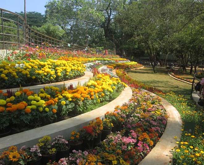 Botanical Gardens  inside 