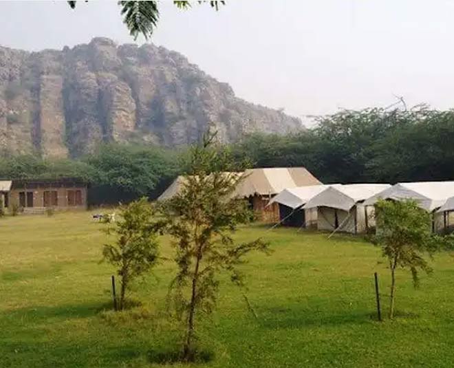 Camp Wild Dhauj inside 
