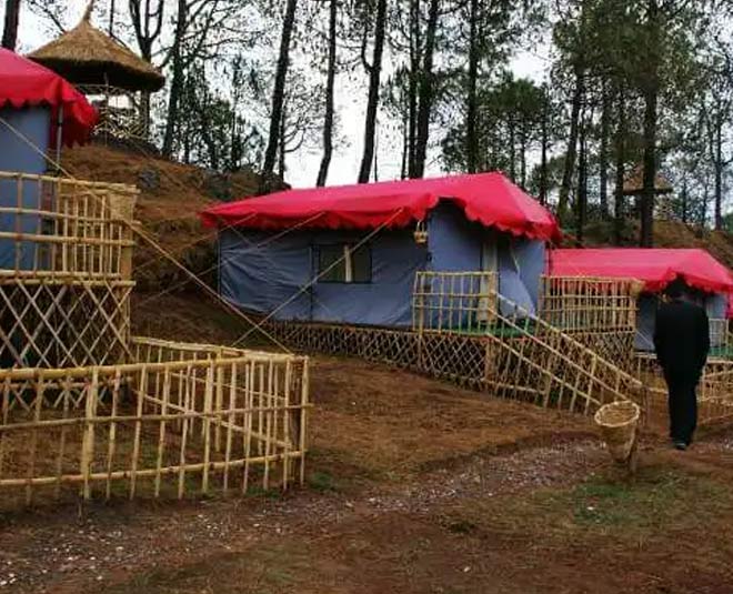 Sanawar Nature Camp in Kasauli inside 