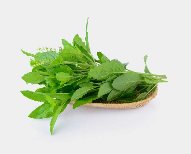 Here Is How To Use Basil Leaves Or Tulsi For Acidity HerZindagi