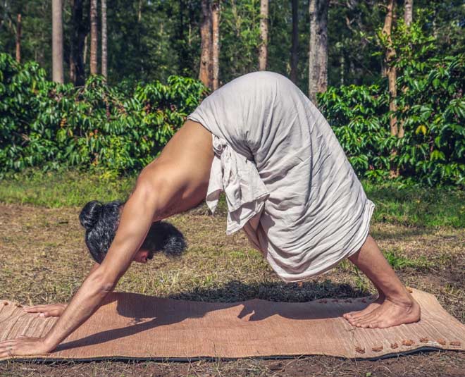 adho mukha svanasana inside 