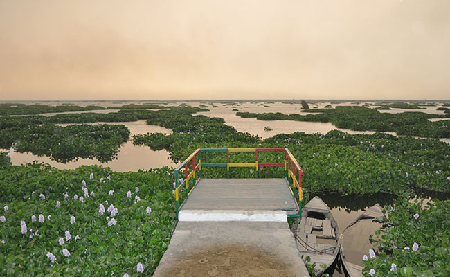 अमृतसर के पास मौजूद बर्ड वॉचिंग सेंचुरी का नाम क्या है? amritsar harike wasteland