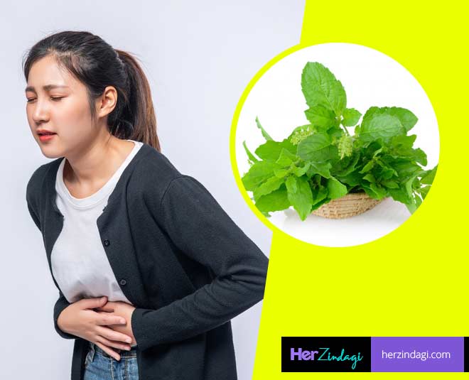 Here Is How To Use Basil Leaves Or Tulsi For Acidity HerZindagi