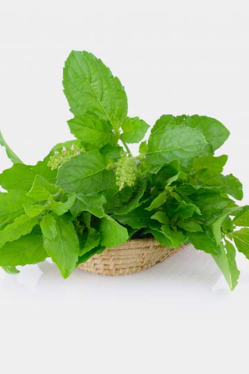 Here Is How To Use Basil Leaves Or Tulsi For Acidity HerZindagi