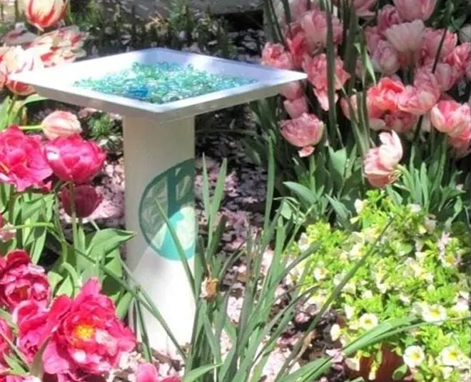 birdbath Inside 