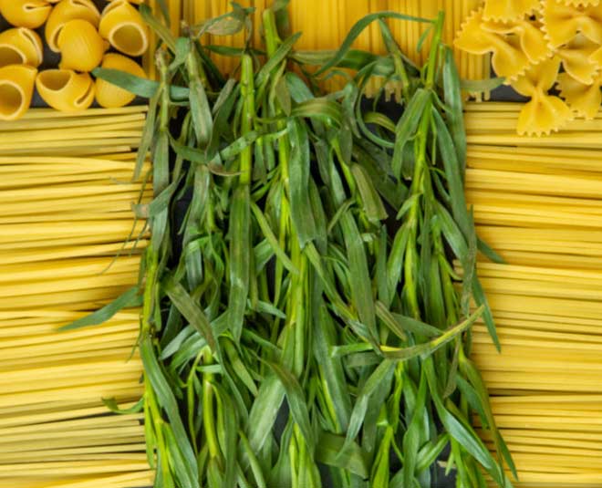 The Health Benefits Of Tarragon the health benefits of tarragon HerZindagi