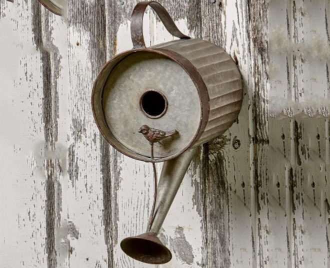 can shapped bird house