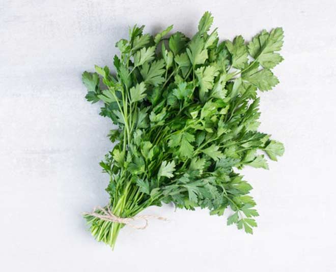 coriander leaves benefits inside 