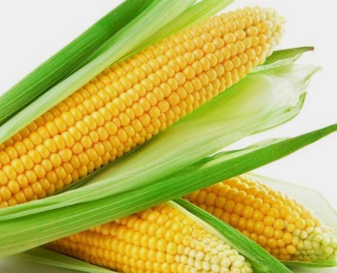 corn-for-healthy-skin-and-weight-loss-corn-for-healthy-skin-and