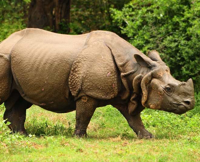 guwahati places to visit wildlife