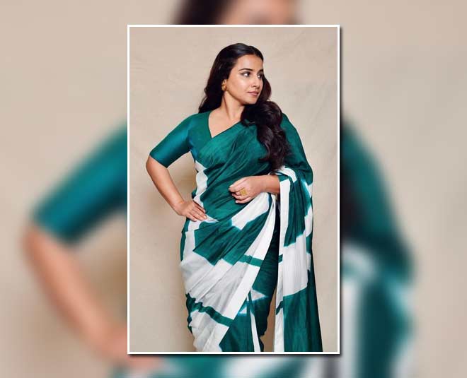 hand painted printed saree