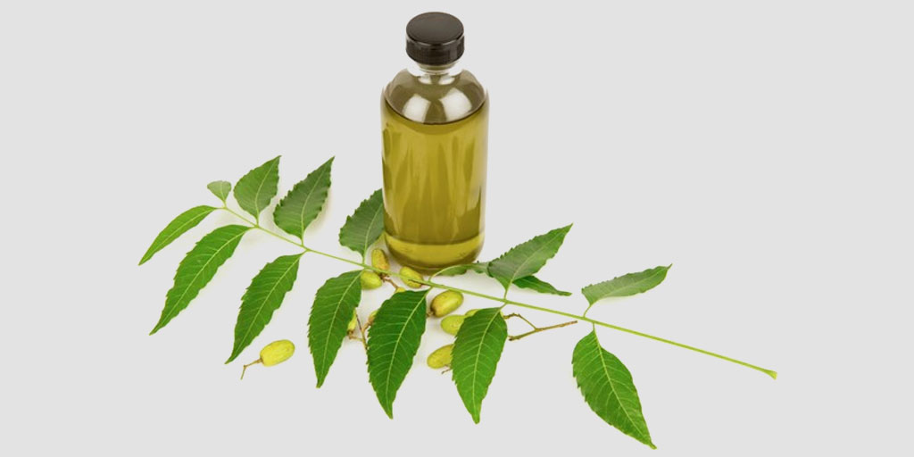 How to Make Neem Oil at Home